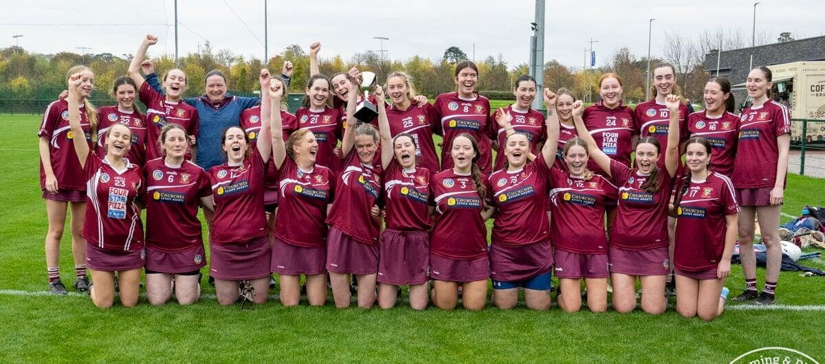 Dublin Camogie Junior 2 Championship Final Replay