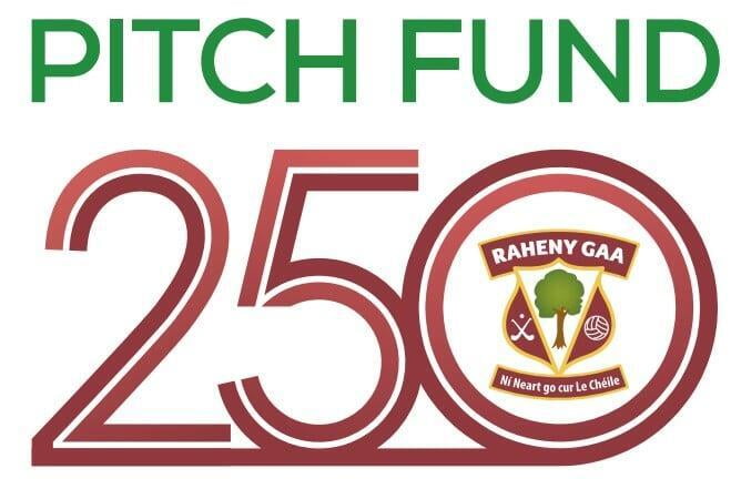 raheny-gaa-pitch-fund-250